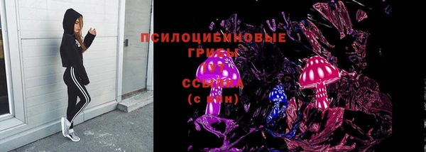 тгк Богданович