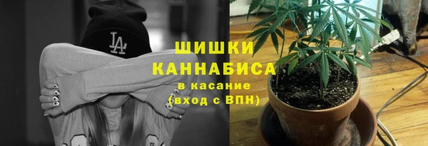 тгк Богданович