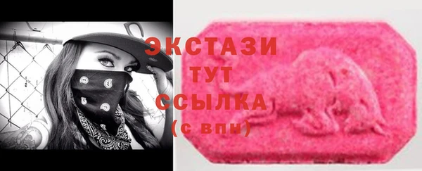 индика Богородицк