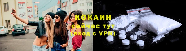 тгк Богданович