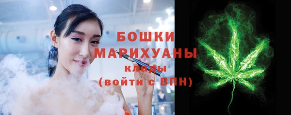 индика Богородицк