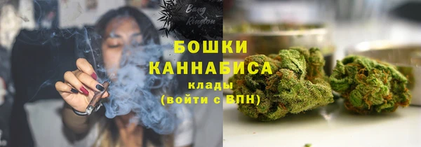 индика Богородицк