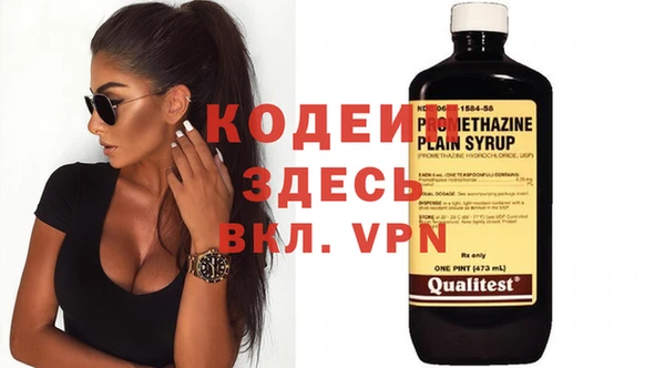 индика Богородицк