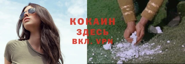 тгк Богданович
