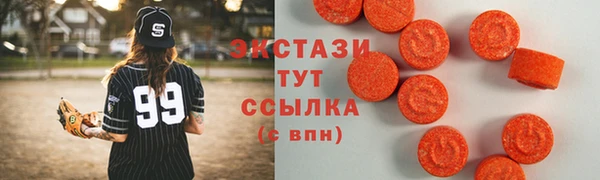 индика Богородицк