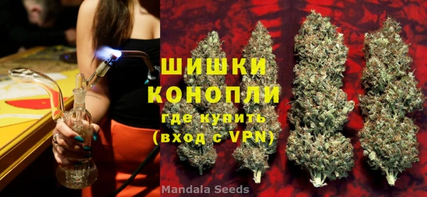 индика Богородицк