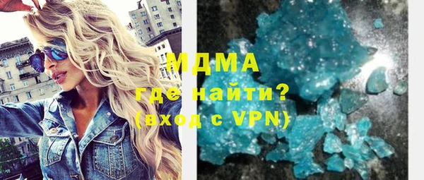 индика Богородицк