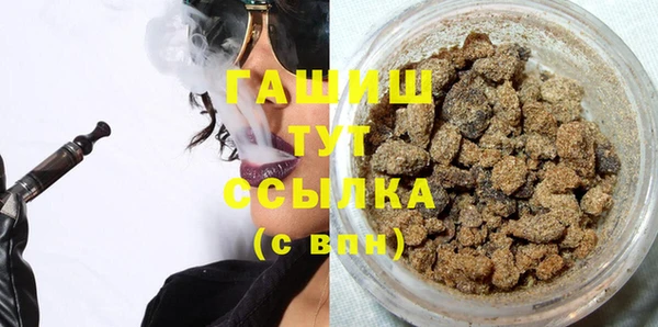 индика Богородицк