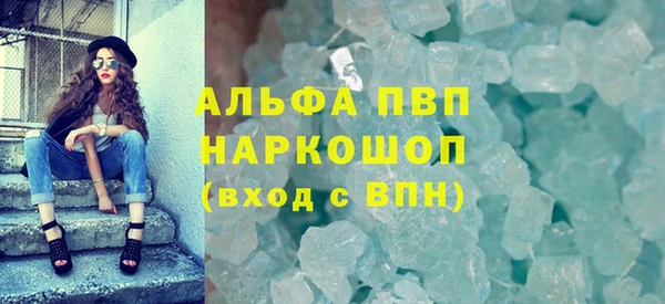 индика Богородицк