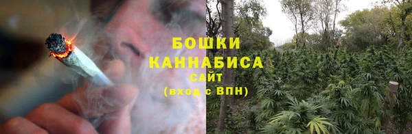 индика Богородицк